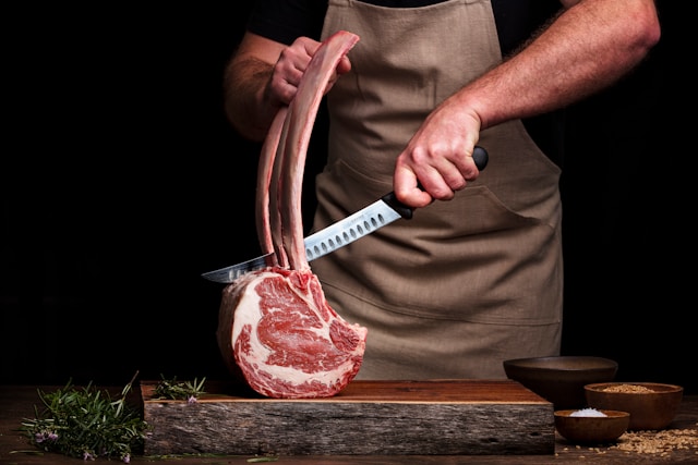 Carnivore diet experts