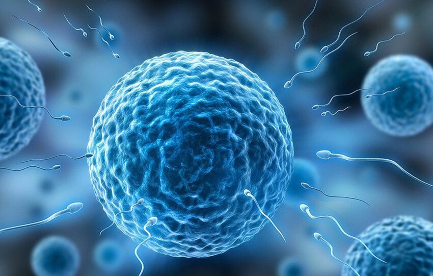 male infertility sexual health testosterone
