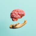 Dr Tommy Wood on brain health, concussion and the limits of optimisation
