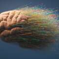 “Neurology is the new oncology” says brain tech fund founder