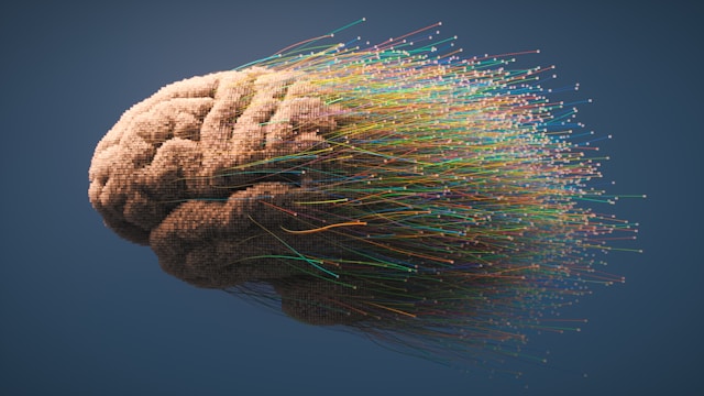 nicolas roberti european brain tech fund